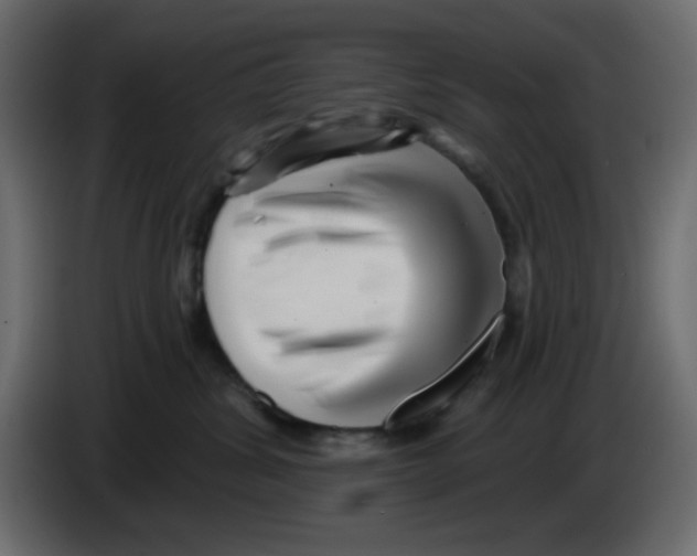 X0000084600428200703231931