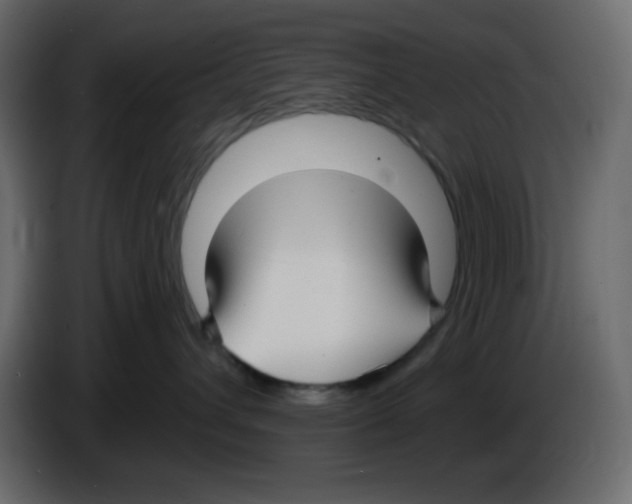 X0000084600432200703231931