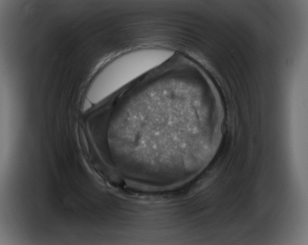 X0000084600434200703231930