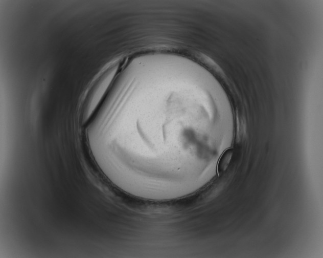 X0000084600435200703231930