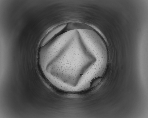 X0000084600437200703231930