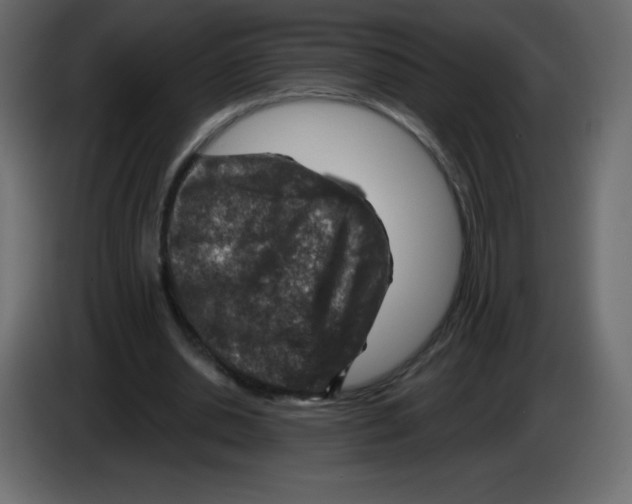 X0000084600438200703231930