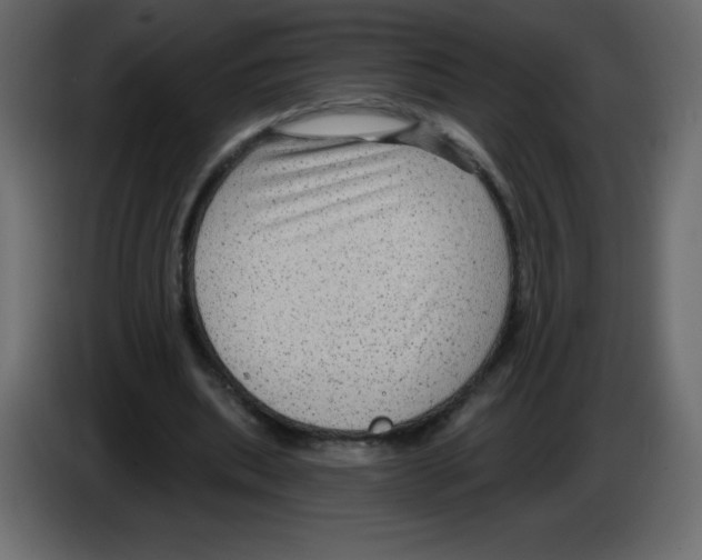 X0000084600439200703231930