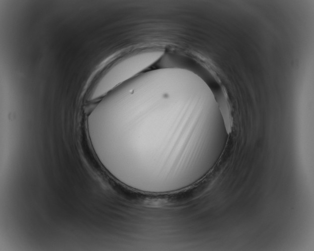 X0000084600440200703231930