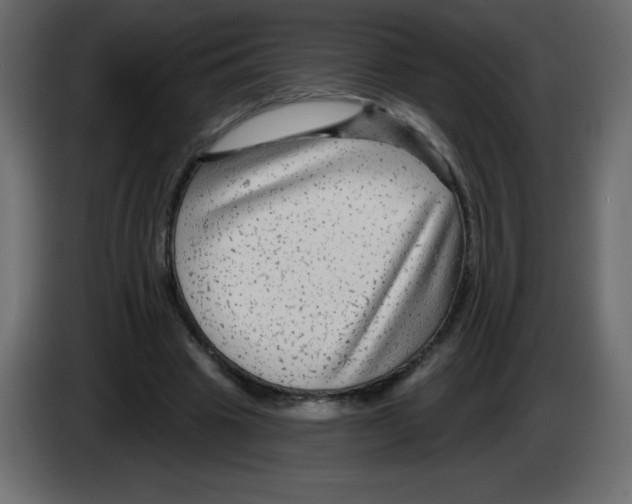 X0000084600441200703231930