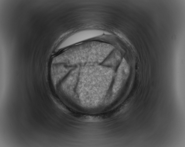 X0000084600442200703231930