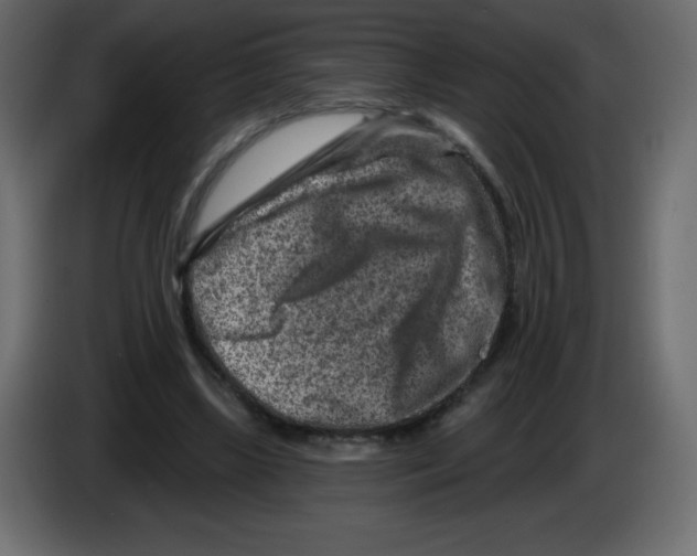 X0000084600443200703231930