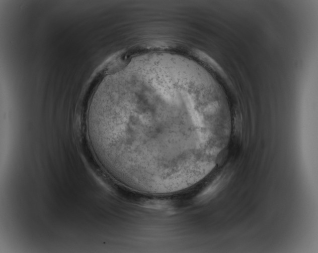 X0000084600444200703231930