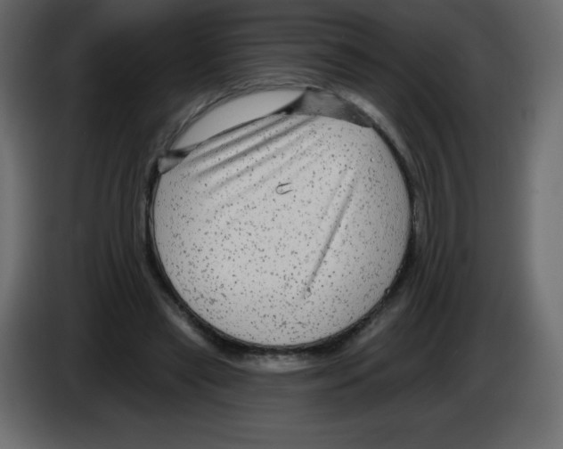 X0000084600445200703231930