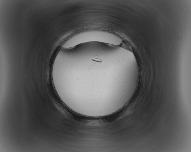 X0000084600446200703231930