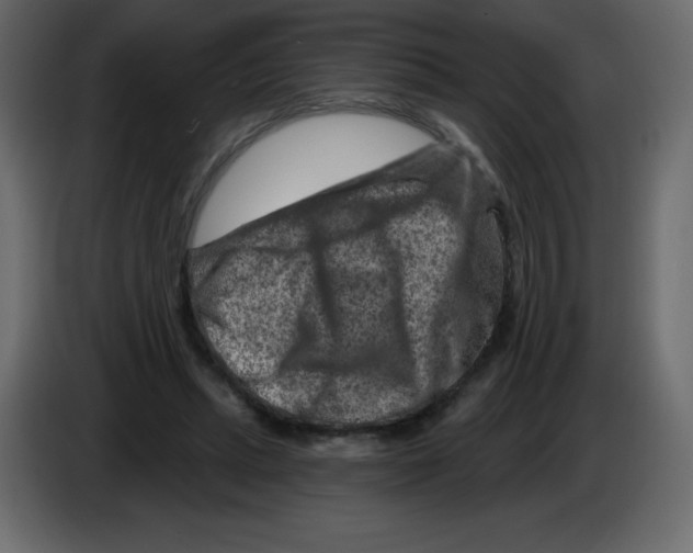 X0000084600447200703231930