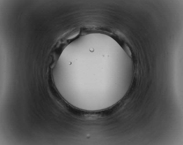 X0000084600448200703231930