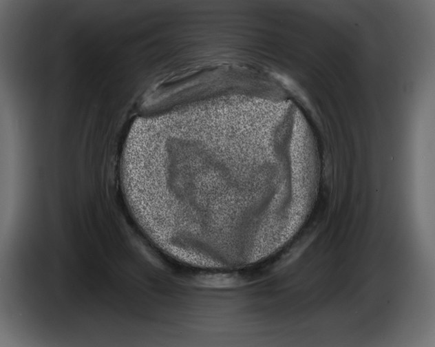 X0000084600449200703231930