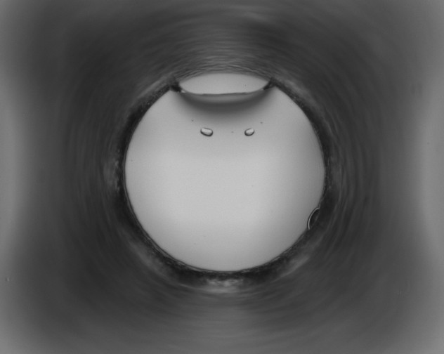 X0000084600450200703231930