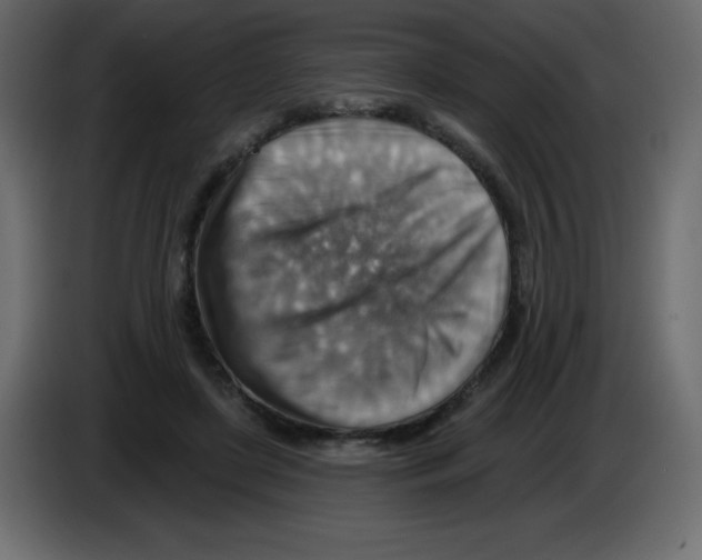 X0000084600451200703231930