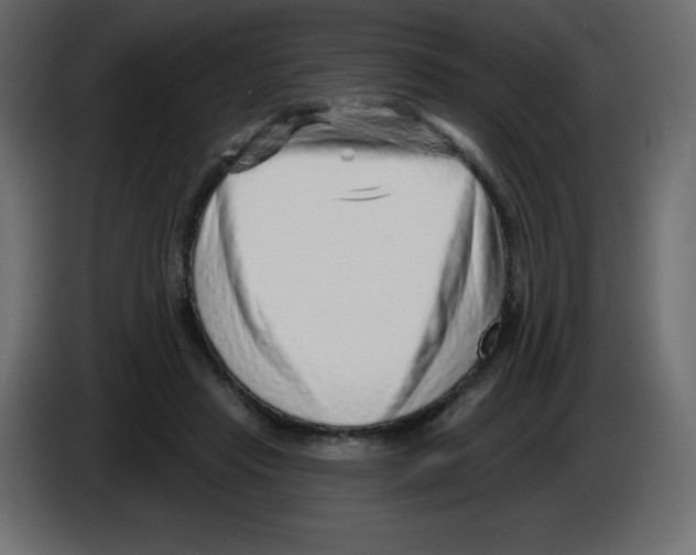 X0000084600453200703231930