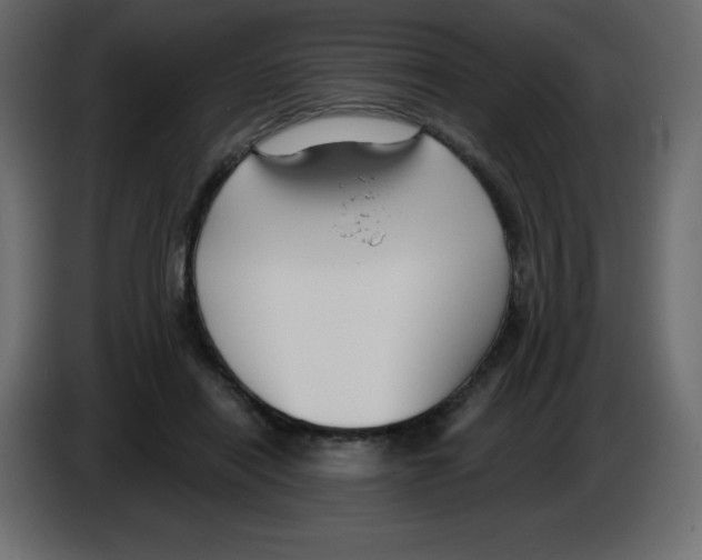 X0000084600454200703231930