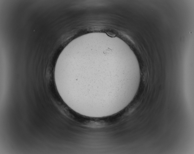 X0000084600455200703231930