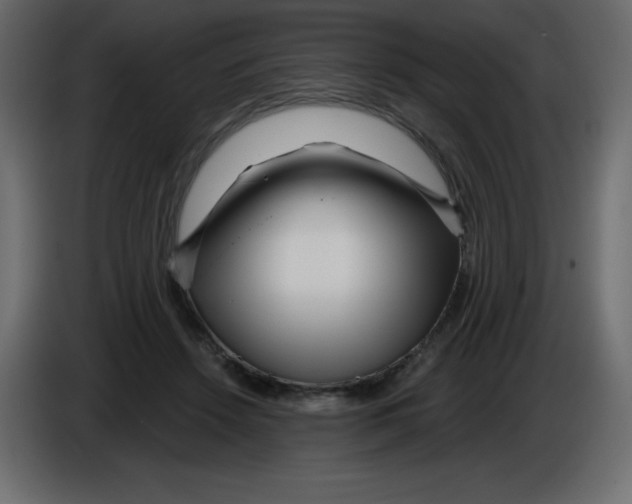 X0000084600456200703231930