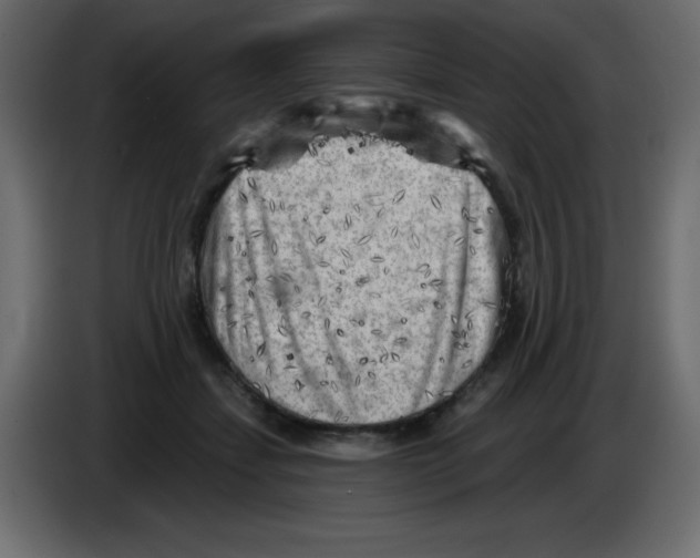X0000084600459200703231930