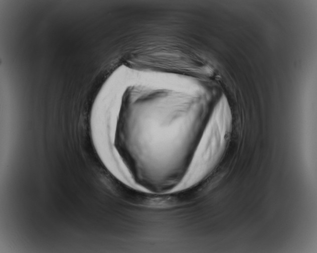 X0000084600461200703231930