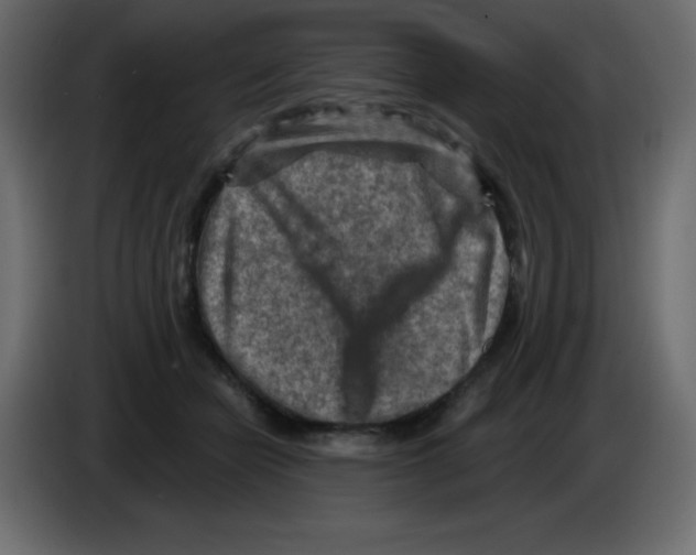 X0000084600462200703231930