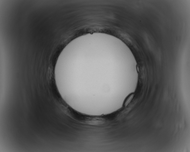 X0000084600463200703231930