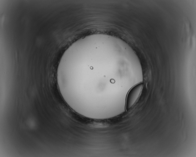 X0000084600464200703231930