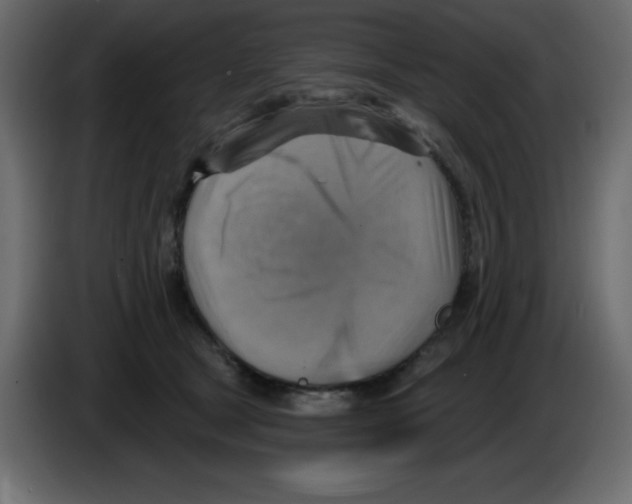 X0000084600465200703231930