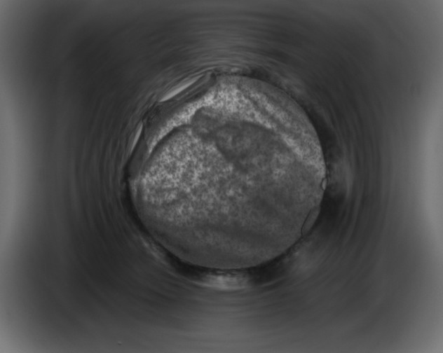 X0000084600466200703231930