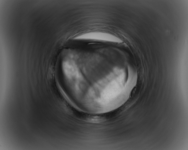 X0000084600467200703231930