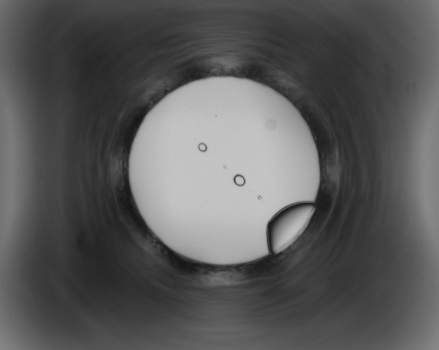 X0000084600468200703231930