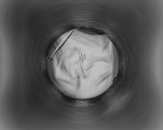 X0000084600469200703231930