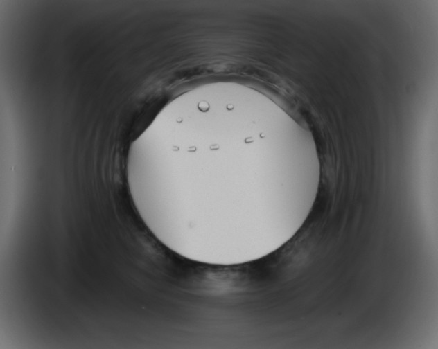 X0000084600470200703231930