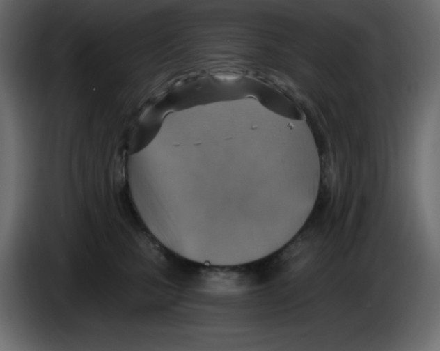 X0000084600471200703231931