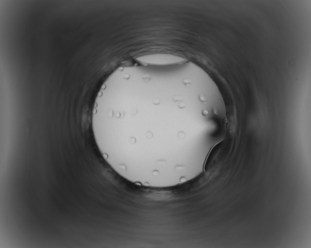 X0000084600476200703231931