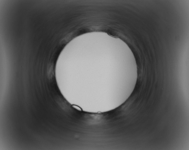 X0000084600478200703231931