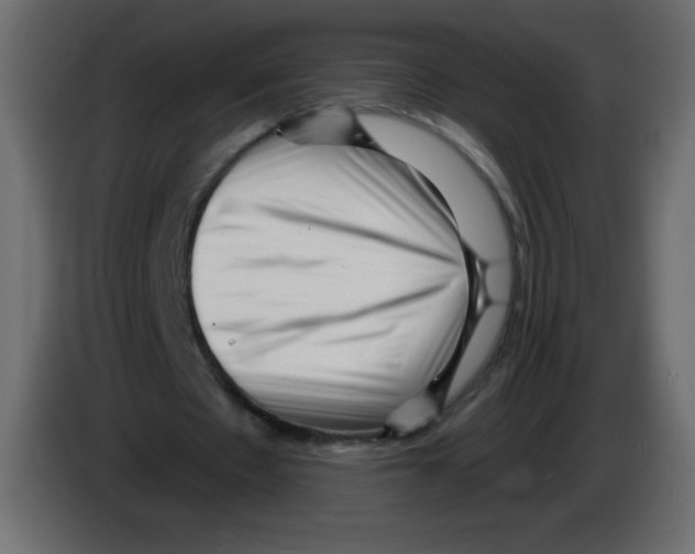 X0000084600481200703231930