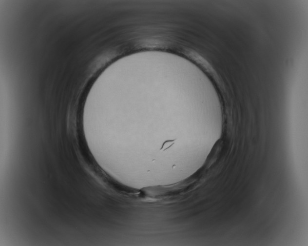 X0000084600482200703231930