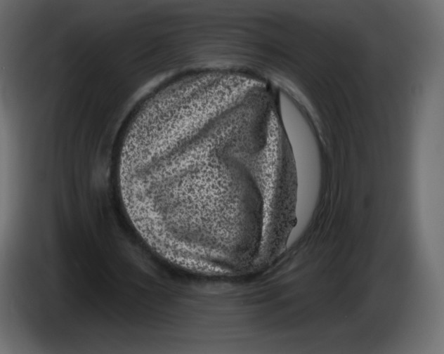 X0000084600483200703231930