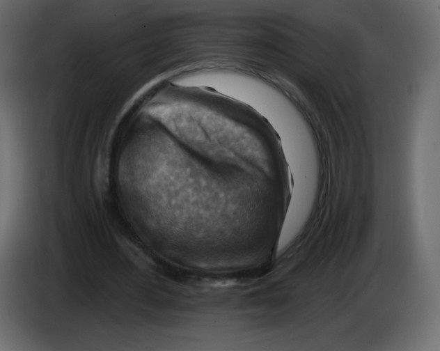 X0000084600484200703231930