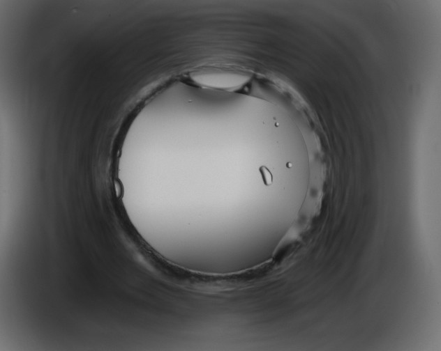 X0000084600485200703231930