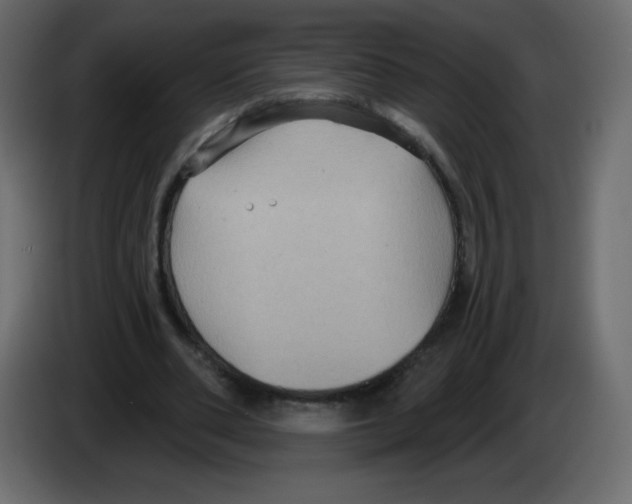 X0000084600486200703231930