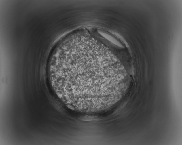 X0000084600487200703231930