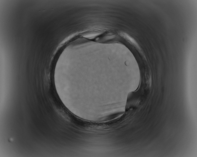 X0000084600488200703231930