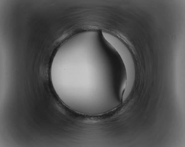 X0000084600489200703231930