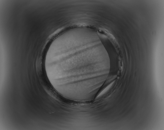 X0000084600492200703231930