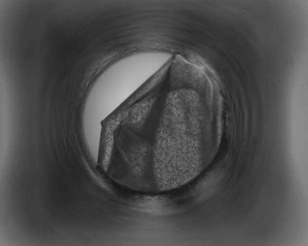 X0000084600493200703231930