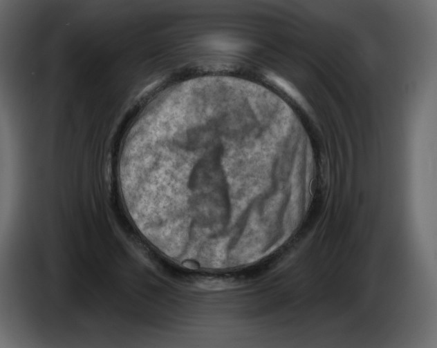 X0000084600494200703231930