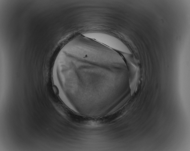 X0000084600496200703231930